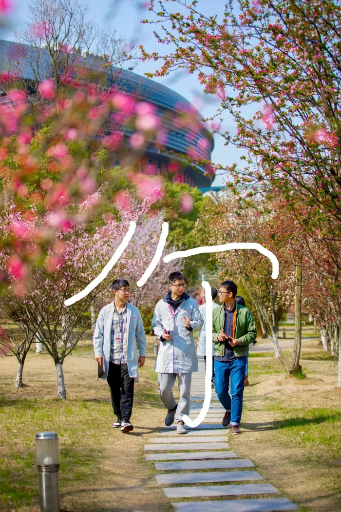 春光7