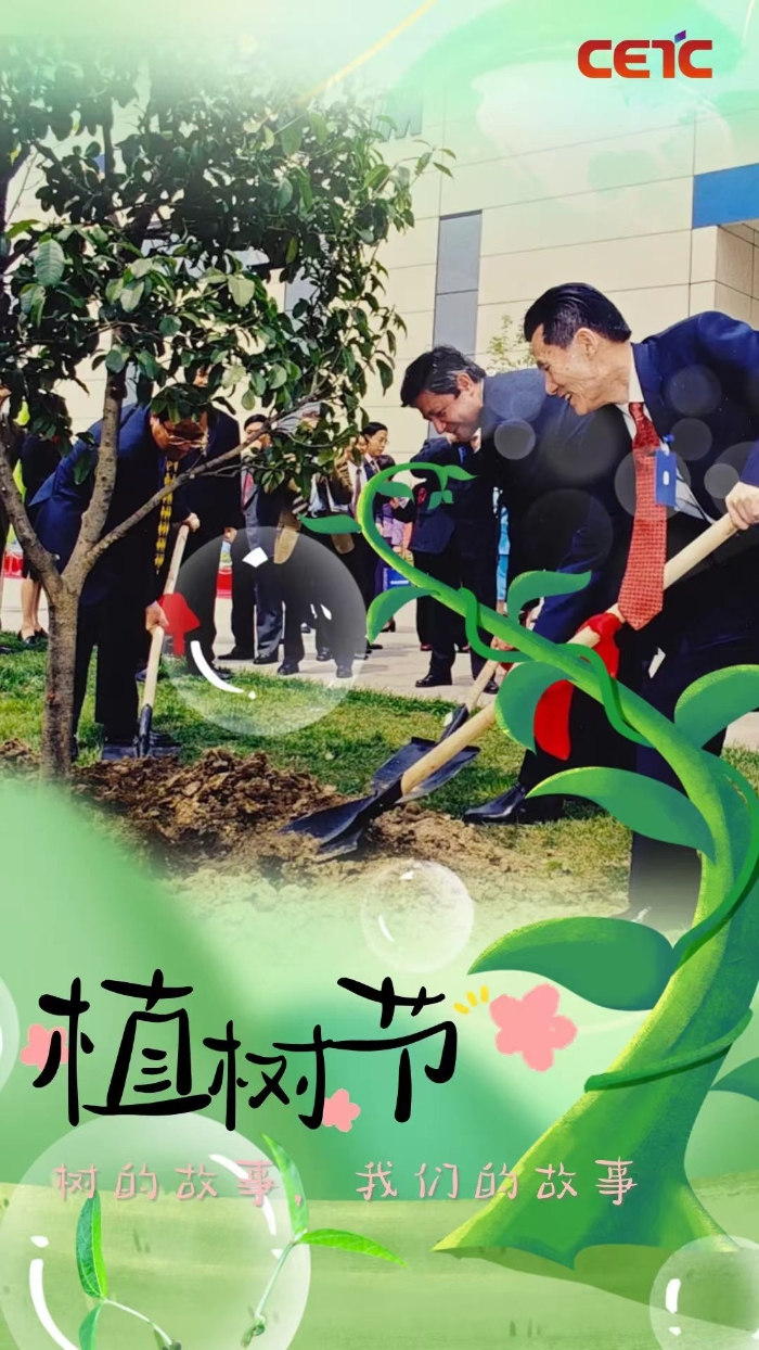 植树5