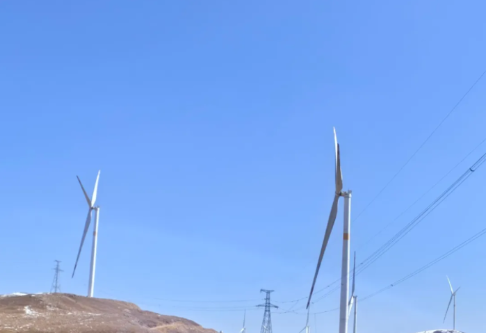 2026.4.12春风催绿3 2026.4.12春风催绿3